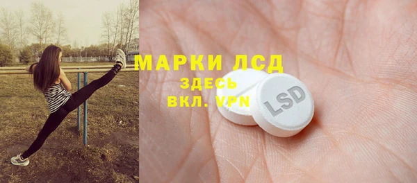 PSILOCYBIN Инсар