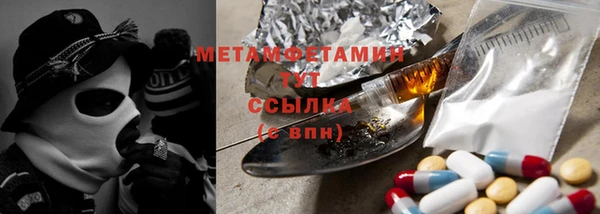 ГАЛЛЮЦИНОГЕННЫЕ ГРИБЫ Инта