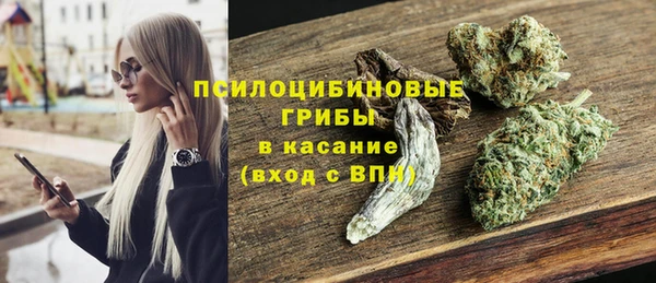 PSILOCYBIN Инсар