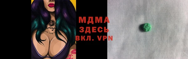 ГАЛЛЮЦИНОГЕННЫЕ ГРИБЫ Инта