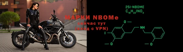ГАЛЛЮЦИНОГЕННЫЕ ГРИБЫ Инта