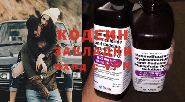 ГАЛЛЮЦИНОГЕННЫЕ ГРИБЫ Инта