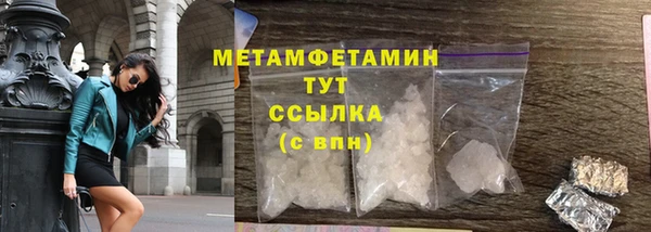 ГАЛЛЮЦИНОГЕННЫЕ ГРИБЫ Инта