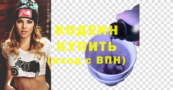 ГАЛЛЮЦИНОГЕННЫЕ ГРИБЫ Инта