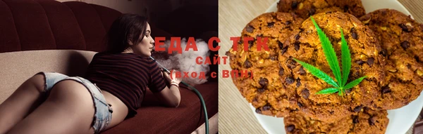ГАЛЛЮЦИНОГЕННЫЕ ГРИБЫ Инта