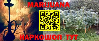 ешки Новодвинск
