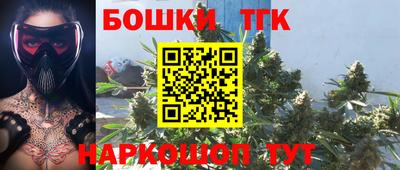 ешки Новодвинск