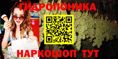 ешки Новодвинск