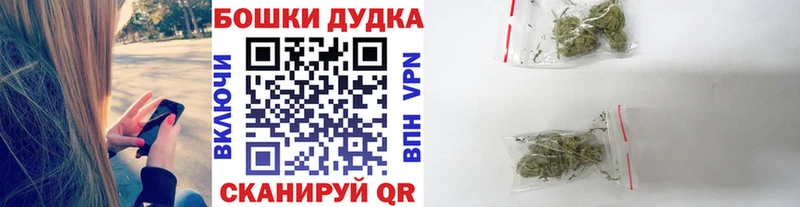 Бошки Шишки сатива  купить наркотики сайты  Чусовой 